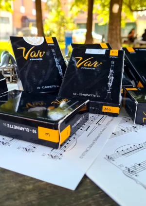 ANCE VAR