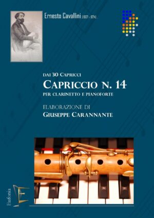 CAPRICCIO N. 14