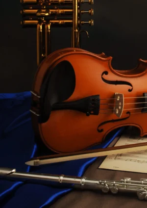 MUSICA DA CAMERA