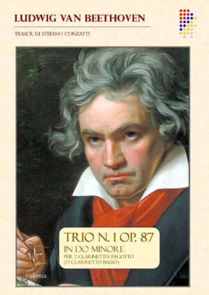 TRIO OP 87 PER 2 CLARINETTI E FAGOTTO O CLARINETTO BASSO